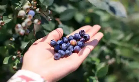 达达兔影视-旅行攻略